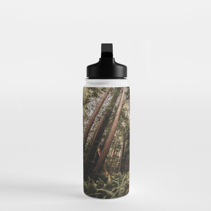Forest Adventure - Redwood National Park Hiking Water Bottle Gallery Image 3