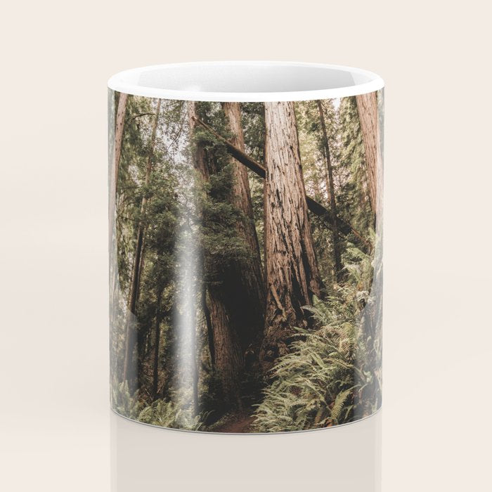 Forest Adventure - Redwood National Park Hiking Coffee Mug Gallery Image 4