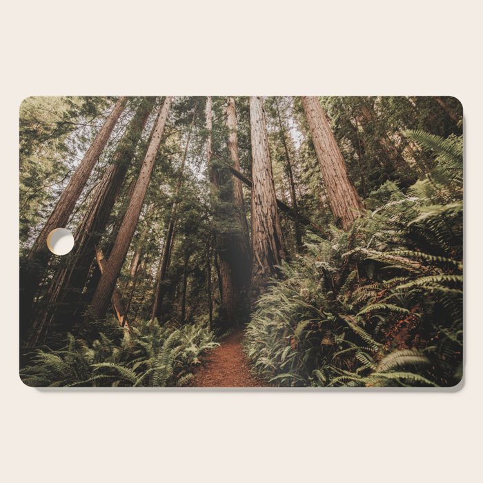 Forest Adventure - Redwood National Park Hiking Cutting Board Gallery Image 1