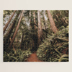 Forest Adventure - Redwood National Park Hiking Jigsaw Puzzle Gallery Image 1