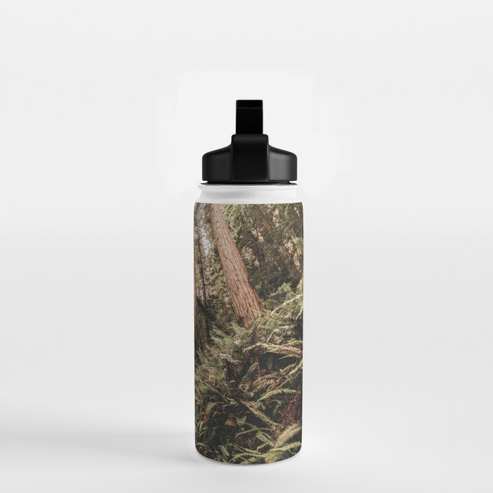 Forest Adventure - Redwood National Park Hiking Water Bottle Gallery Image 2