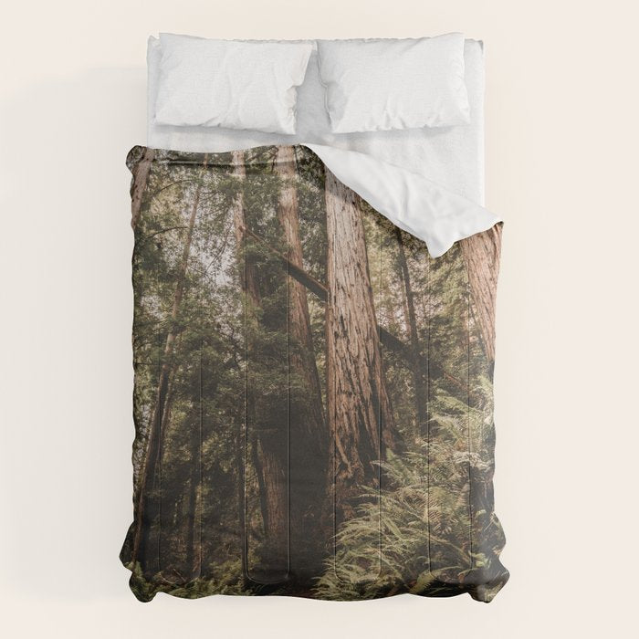 Forest Adventure - Redwood National Park Hiking Comforter Gallery Image 6