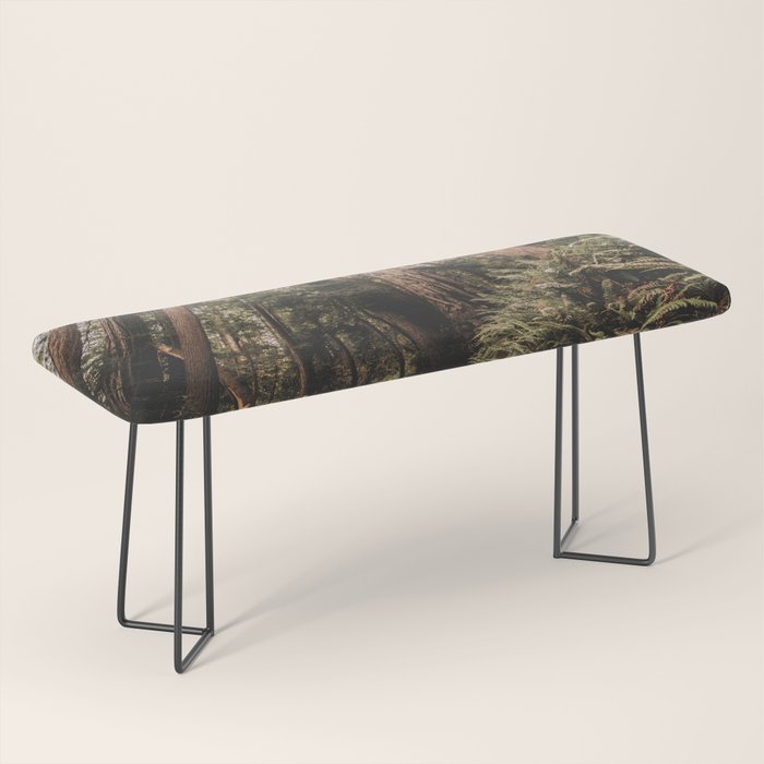 Forest Adventure - Redwood National Park Hiking Bench Gallery Image 1