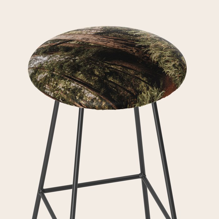 Forest Adventure - Redwood National Park Hiking Stool Gallery Image 2