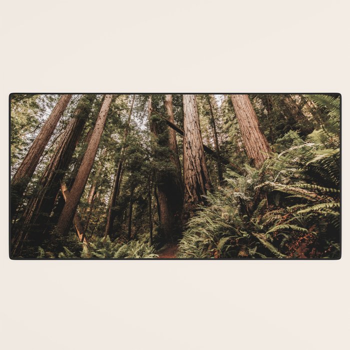 Forest Adventure - Redwood National Park Hiking Desk Mat Gallery Image 3