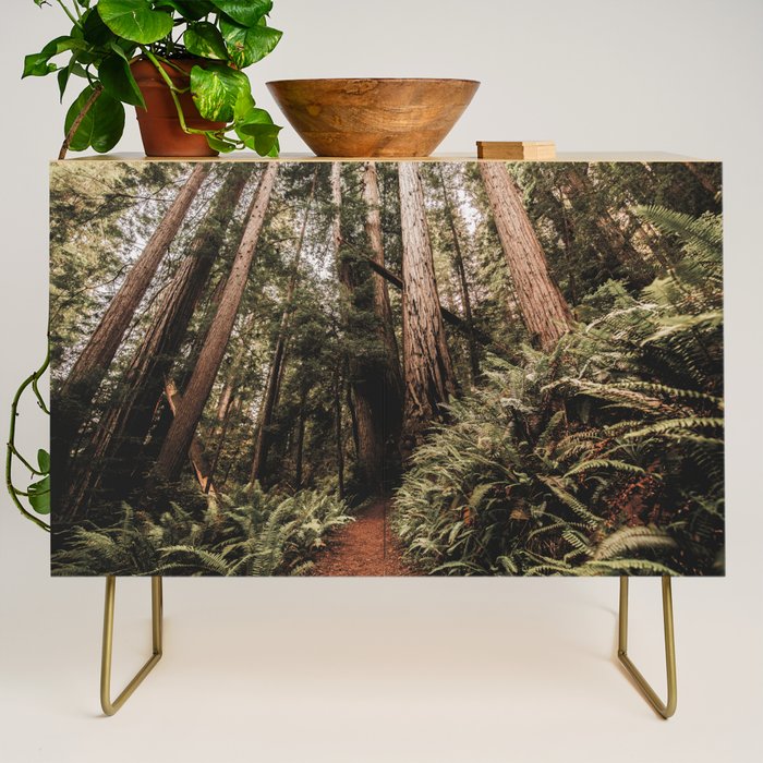 Forest Adventure - Redwood National Park Hiking Credenza Gallery Image 1