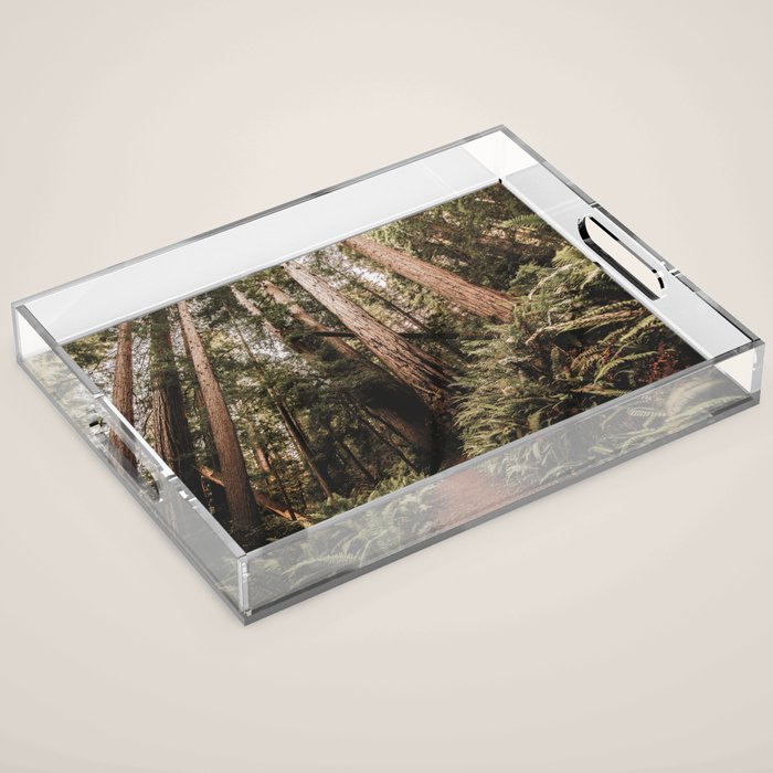 Forest Adventure - Redwood National Park Hiking Acrylic Tray Gallery Image 1