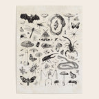 Bones, Bugs, Botanicals Poster Gallery Image 4