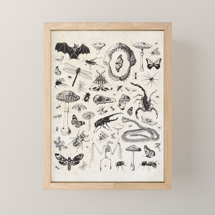 Bones, Bugs, Botanicals Mini Art Print Gallery Image 1