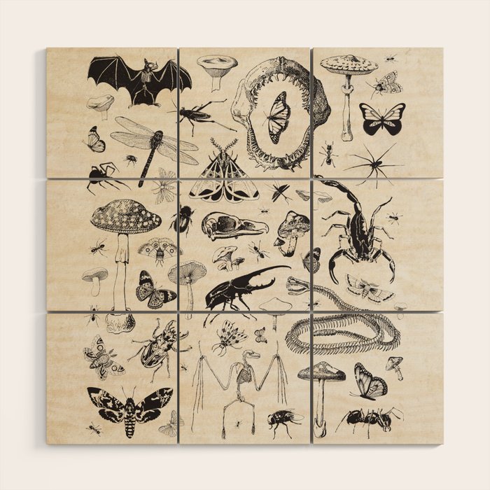 Bones, Bugs, Botanicals Wood Wall Art