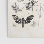 Bones, Bugs, Botanicals Poster Gallery Image 3