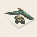 Vintage Butterfly Illustration EA Seguy Papillon Notebook Gallery Image 3