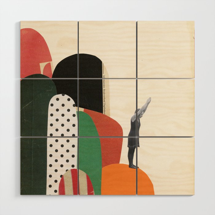 Rock Diving II Wood Wall Art Gallery Image 1