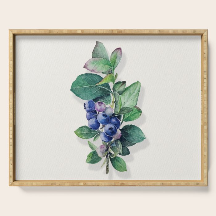 Blueberry branches painted in watercolor Serving Tray Gallery Image 1