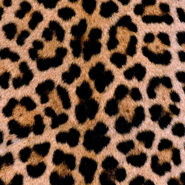 Cheetah Print Coffee Mug Gallery Image 2