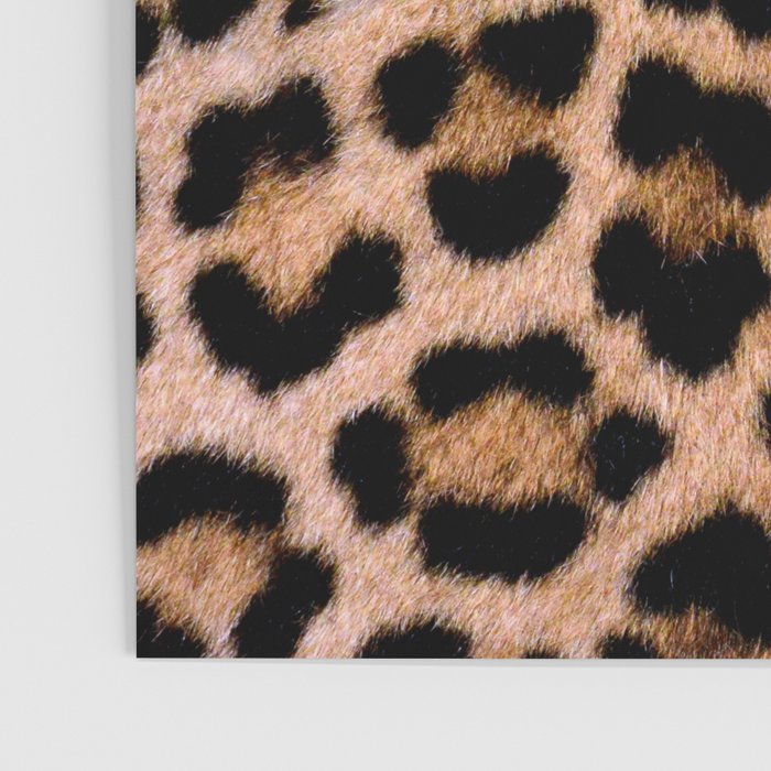 Cheetah Print Poster Gallery Image 3