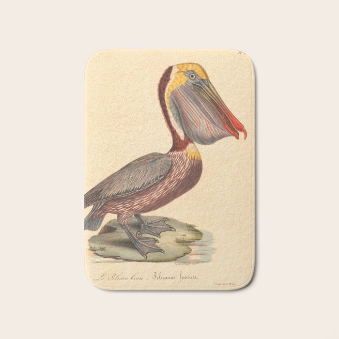 Ornithological illustration from "La Galerie de Oiseaux" ("Bird Gallery"), 1825 Bath Mat Gallery Image 1