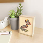 Ornithological illustration from "La Galerie de Oiseaux" ("Bird Gallery"), 1825 Mini Art Print Gallery Image 2
