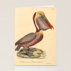 Ornithological illustration from "La Galerie de Oiseaux" ("Bird Gallery"), 1825 Stationery Card Gallery Image 2