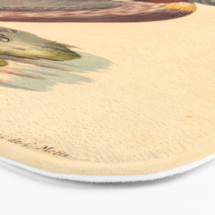 Ornithological illustration from "La Galerie de Oiseaux" ("Bird Gallery"), 1825 Bath Mat Gallery Image 3