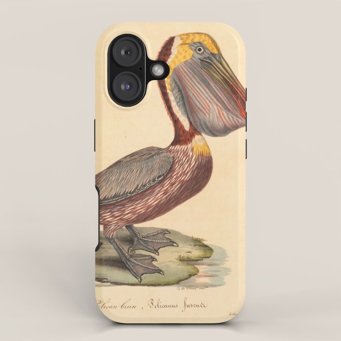Ornithological illustration from "La Galerie de Oiseaux" ("Bird Gallery"), 1825 iPhone Case Gallery Image 1