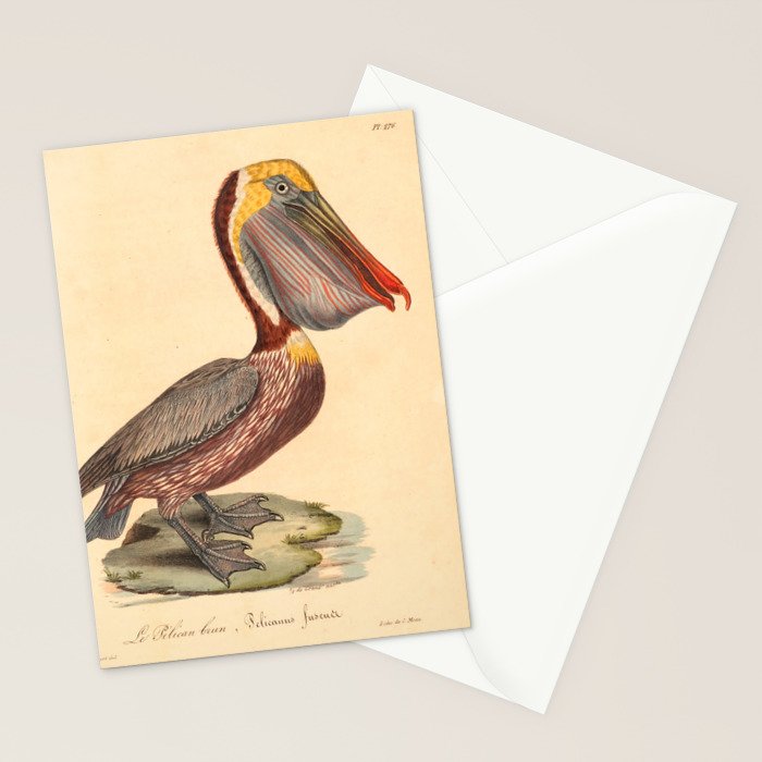 Ornithological illustration from "La Galerie de Oiseaux" ("Bird Gallery"), 1825 Stationery Card Gallery Image 2