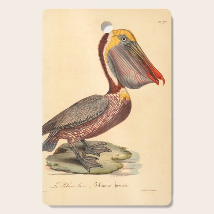 Ornithological illustration from "La Galerie de Oiseaux" ("Bird Gallery"), 1825 Cutting Board Gallery Image 1
