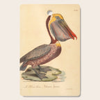 Ornithological illustration from "La Galerie de Oiseaux" ("Bird Gallery"), 1825 Cutting Board Gallery Image 1