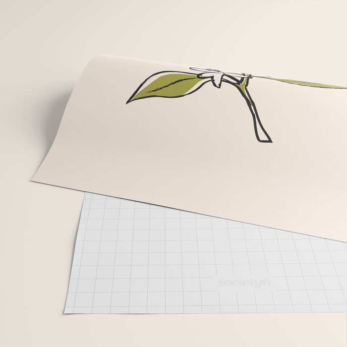 Modern Minimalist Oranges Wrapping Paper Gallery Image 2