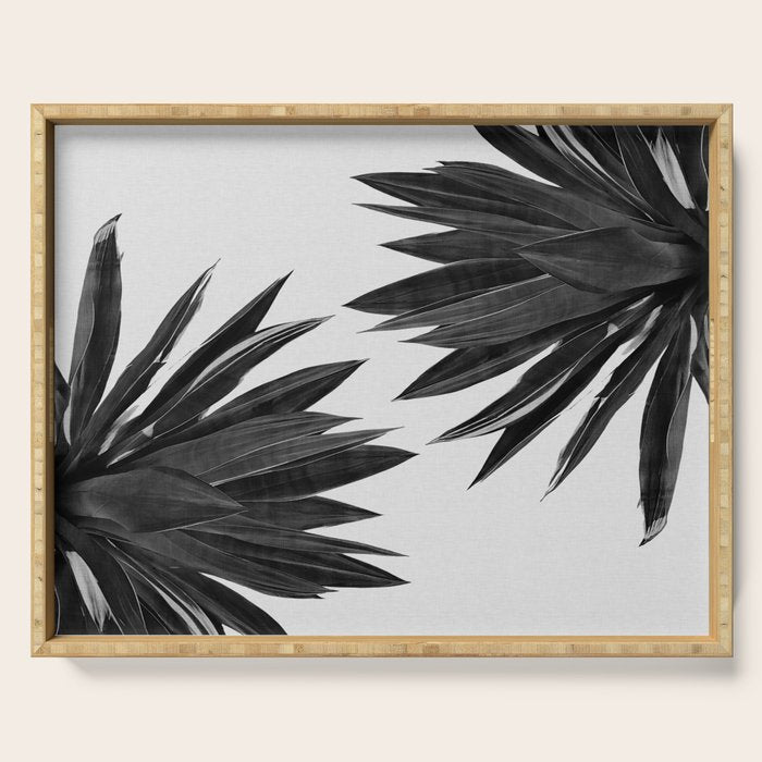 Agave Cactus Black & White Serving Tray Gallery Image 1