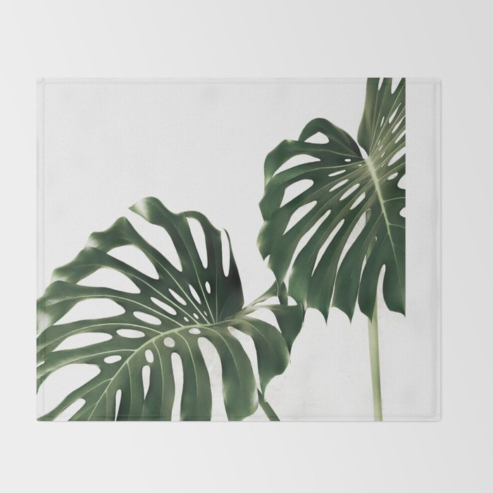 Minimalist Monstera Throw Blanket Gallery Image 2