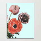 Poppies Notebook Gallery Image 4