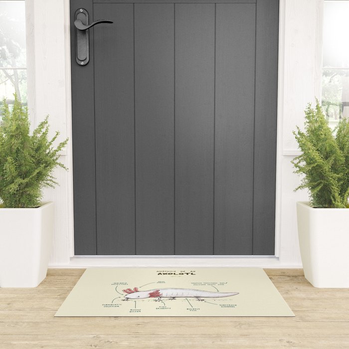 Anatomy of an Axolotl Welcome Mat Gallery Image 3