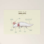 Anatomy of an Axolotl Welcome Mat Gallery Image 1