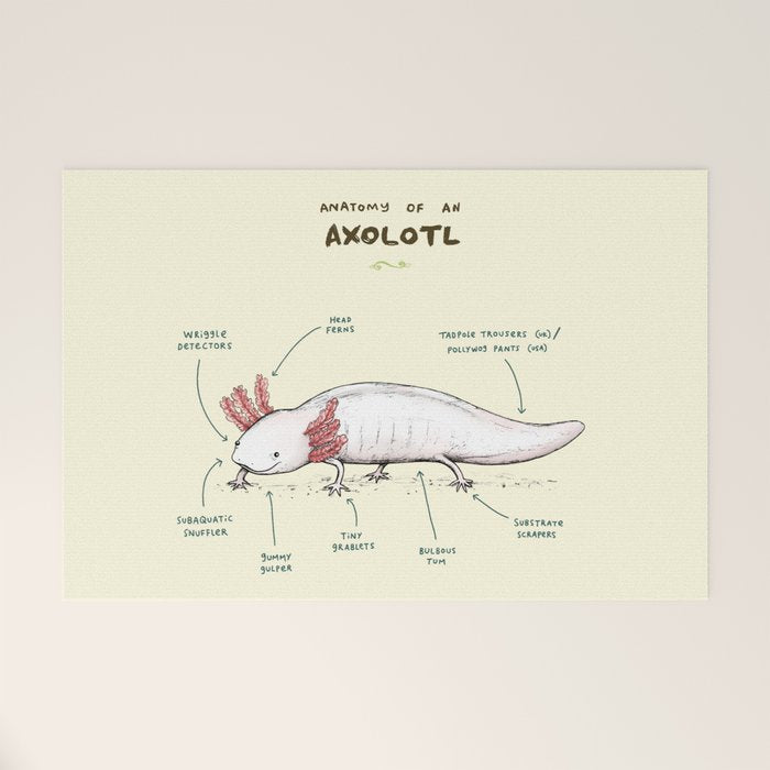Anatomy of an Axolotl Welcome Mat Gallery Image 1
