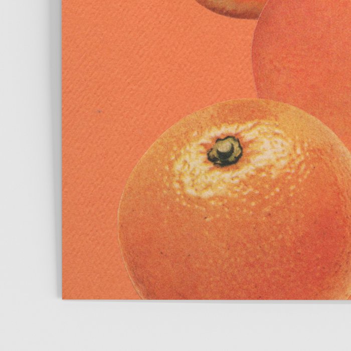 Vitamin C Poster Gallery Image 3