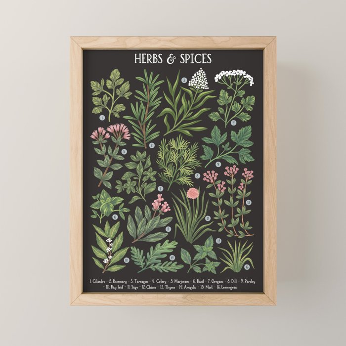 Herbs & Spices - dark Mini Art Print Gallery Image 1