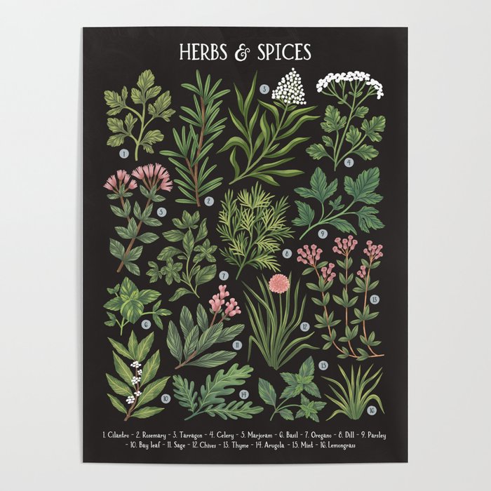 Herbs & Spices - dark Poster Gallery Image 1
