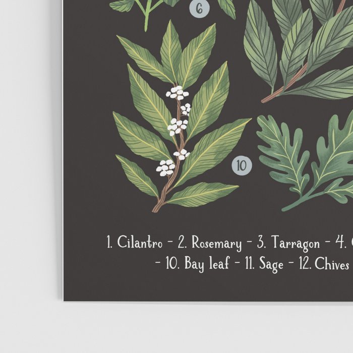Herbs & Spices - dark Poster Gallery Image 3
