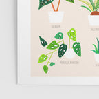 House Plants on Pink Poster Gallery Image 3