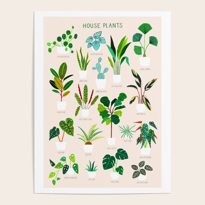 House Plants on Pink Poster Gallery Image 4