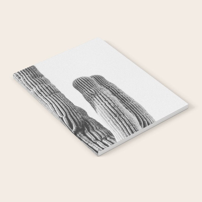 DESERT CACTUS XIX / Scottsdale, Arizona Notebook Gallery Image 1
