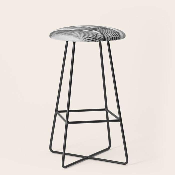 DESERT CACTUS XIX / Scottsdale, Arizona Stool Gallery Image 1