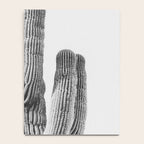 DESERT CACTUS XIX / Scottsdale, Arizona Notebook Gallery Image 4