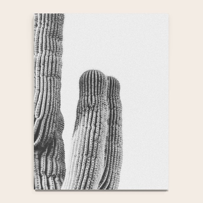 DESERT CACTUS XIX / Scottsdale, Arizona Notebook Gallery Image 4