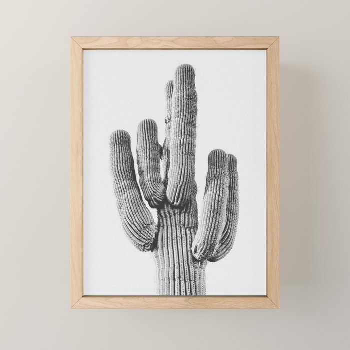 DESERT CACTUS XIX / Scottsdale, Arizona Mini Art Print Gallery Image 1