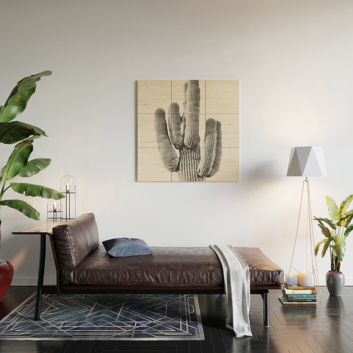 DESERT CACTUS XIX / Scottsdale, Arizona Wood Wall Art Gallery Image 2