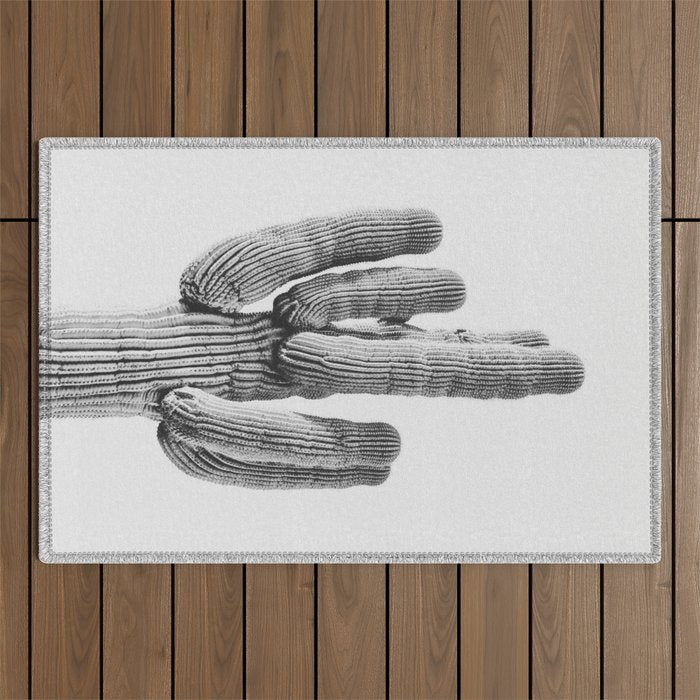 DESERT CACTUS XIX / Scottsdale, Arizona Outdoor Rug Gallery Image 1