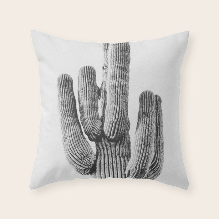 DESERT CACTUS XIX / Scottsdale, Arizona Throw Pillow Gallery Image 1