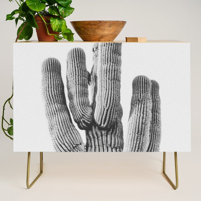 DESERT CACTUS XIX / Scottsdale, Arizona Credenza Gallery Image 1